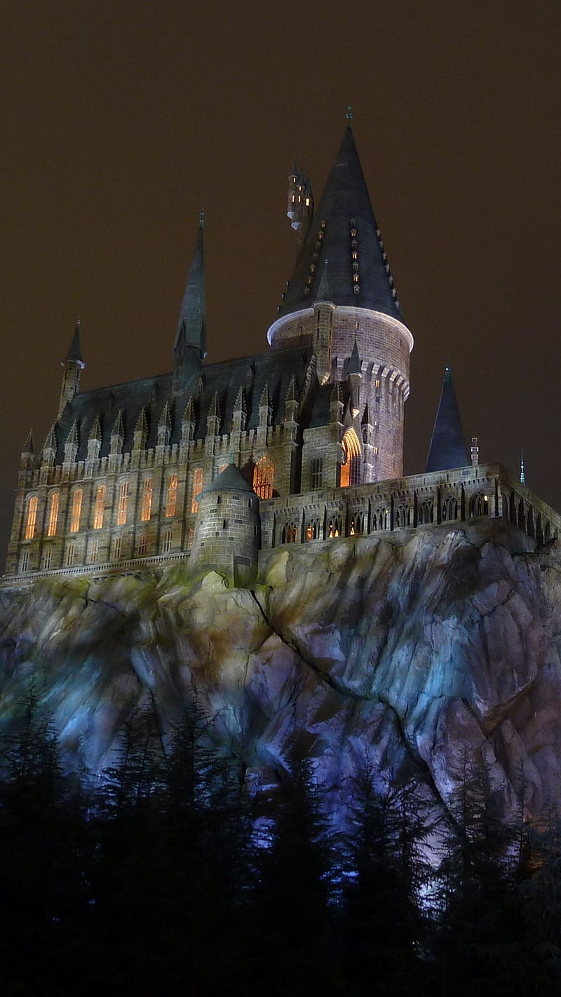 Hogwarts Castle, âIslands Of Adventureâ Harry Potter Man Made Hogwarts Castle Castles Harry Potter islands. Hogwarts castle, Harry potter , Harry potter, HD phone wallpaper